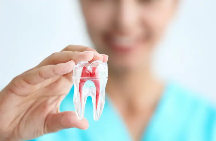 How to Avoid Cavities