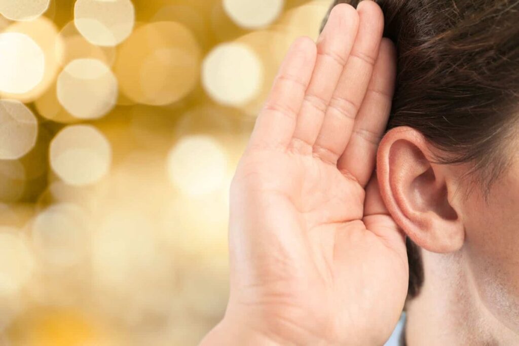 Supplements for inner ear health