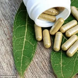 Natural Supplements in Improving Sexual Vitality