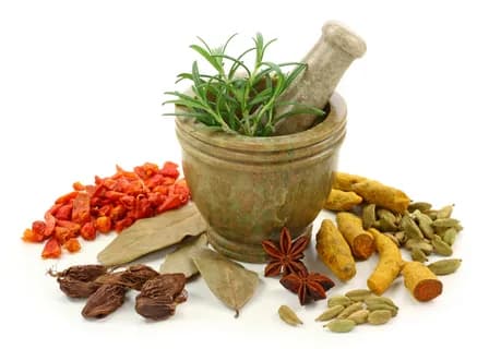 Herbal Remedies for Prostate Care