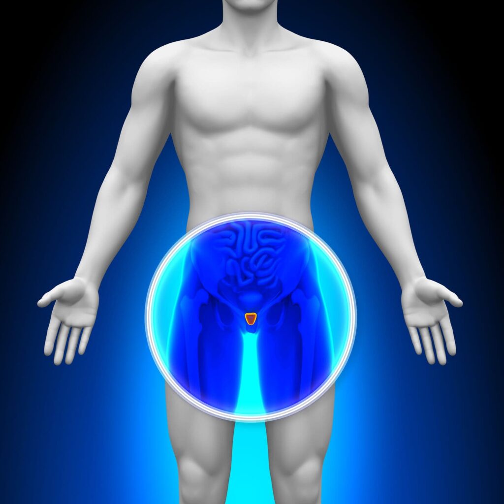 Prostatitis Symptoms