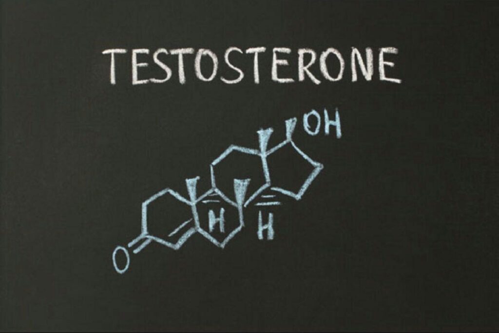 Natural testosterone alternatives